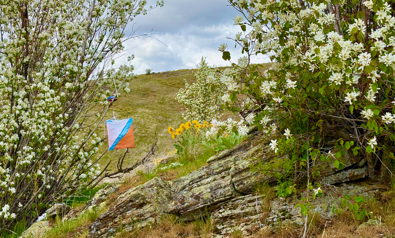 Eastern Washington Orienteering Club